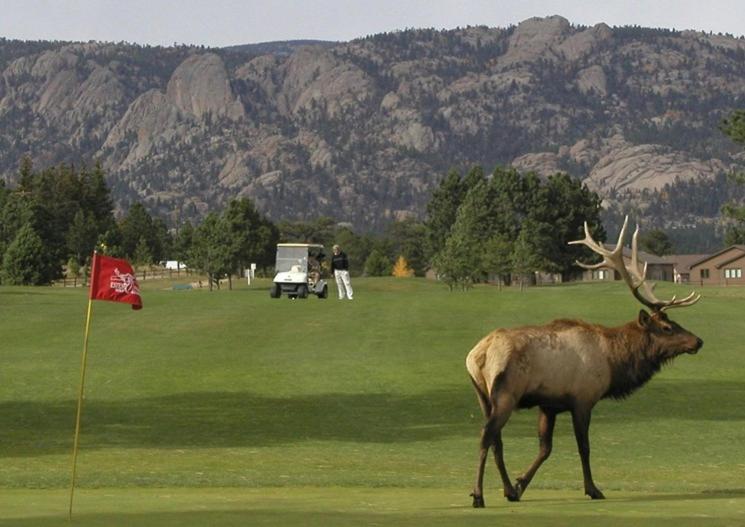 Lily Mountain Lodge - Amazing Mountains Views, Private Hot Tub, Great Location Estes Park Exteriér fotografie
