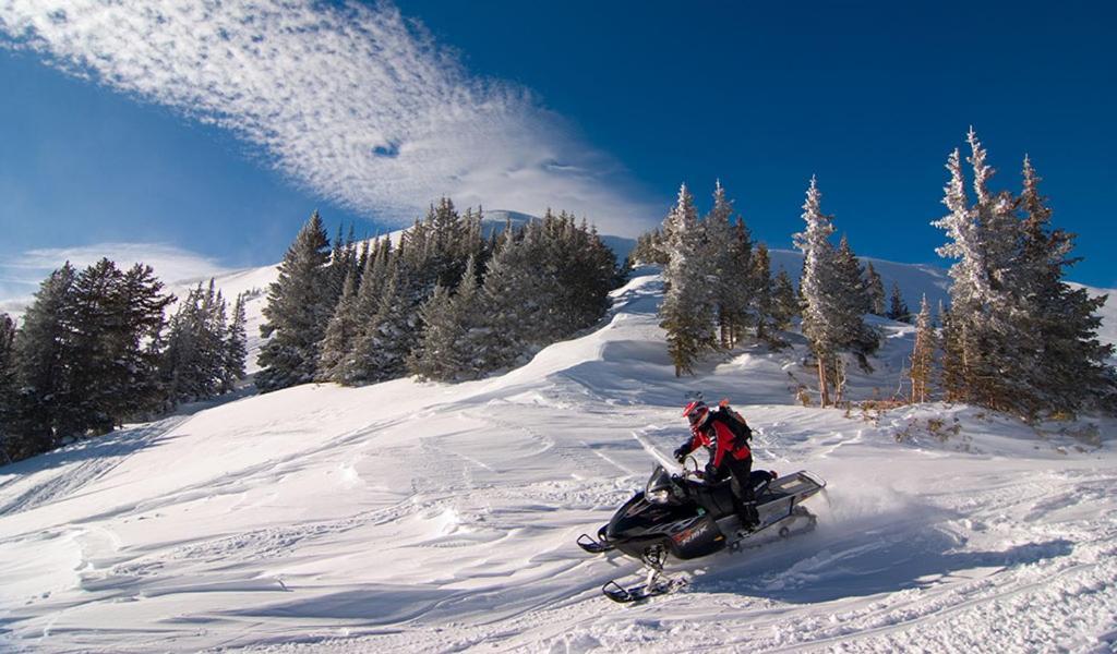 Lily Mountain Lodge - Amazing Mountains Views, Private Hot Tub, Great Location Estes Park Exteriér fotografie